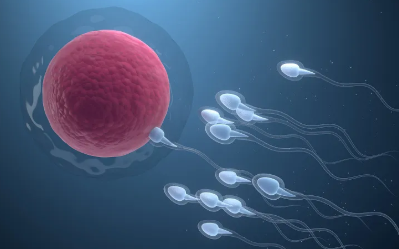 国内做供卵试管机构排名,子宫肥大怎么恢复正常？2026全新子宫肥大恢复方法分享						