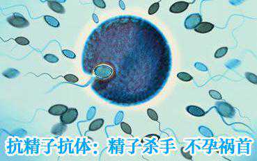 国内私人代孕公司,腺肌症不治会有什么后果，不仅影响怀孕还可能子宫难保						