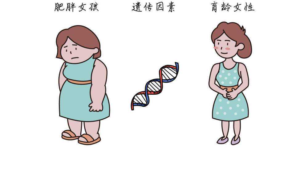 国内试管供卵生子多少钱,做三代试管为什么不移植两个或两个以上胚胎