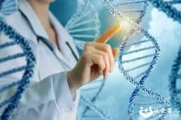 国内哪里做供卵,高龄做第三代试管婴儿*怀孕后还需要做羊穿吗？*殖医*建议有必要做！