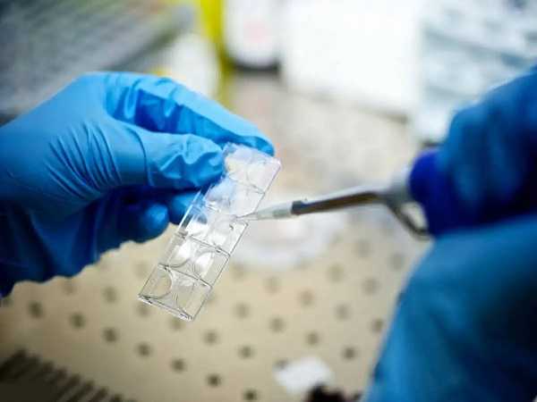 国内哪里有代孕地址,试管阶段促排卵需要花多少钱