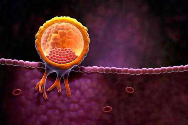 国内供卵供精,沧州人工促排卵步骤是怎样的