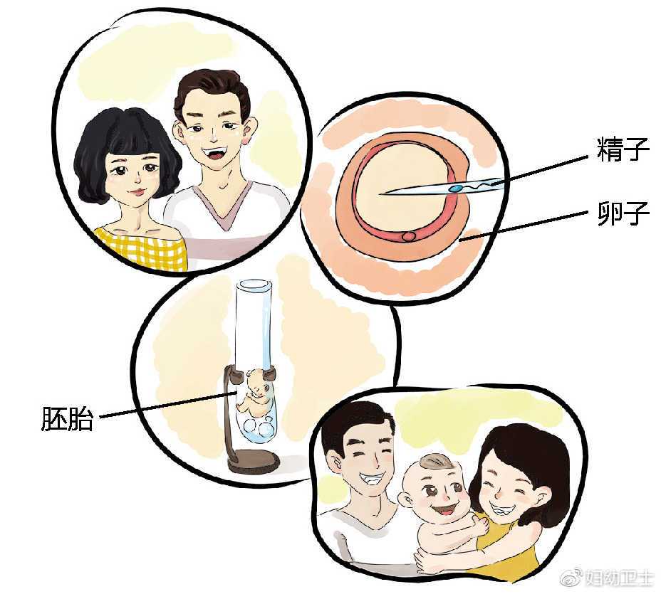 国内有偿供卵医院,*内膜厚度如何调理？*内膜不标准能做试管婴儿吗？