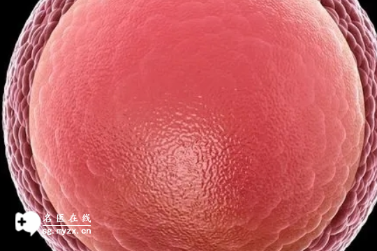 国内试管供卵医院排名,绝经后想做试管一次*率高吗?做好这三点有效提高*率!