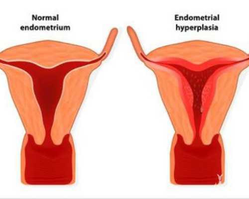 国内试管供卵包男孩多少钱,试管婴儿一次*的人,他们做对了哪些？