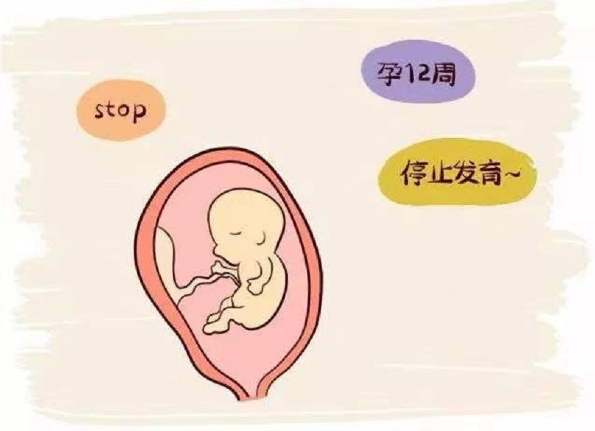 国内有供卵生殖中心,曾群英（关于曾群英介绍）