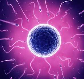 国内代怀哪里有,孕期检查nt是做什么检查 做孕期nt检查有必要吗