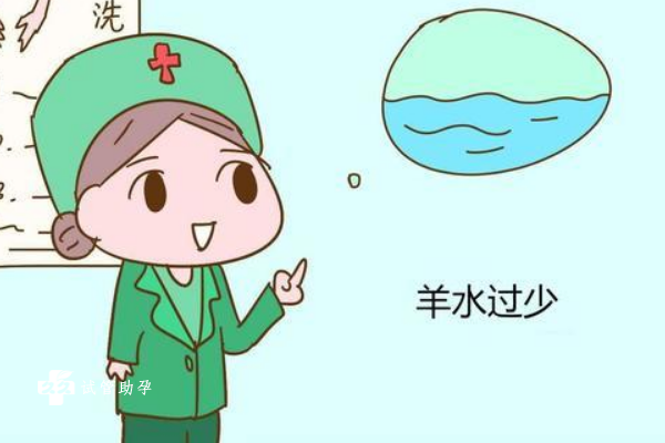 国内医院供卵不排队怎么办,新手上路开车怎样转弯(新手驾驶车辆转弯技巧)