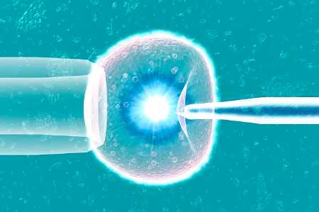 国内代怀孕价格低,脑瘫孕期能检查出来吗 孕检结果怀疑是脑瘫儿怎么办