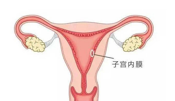 国内代怀孕价格低,胚胎移植第12天出血,量少色黑,求大佬支招!