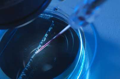 中国哪家医院供卵多些,睾酮值高达0.77ng/ml,能否直接做试管婴儿进行助孕?