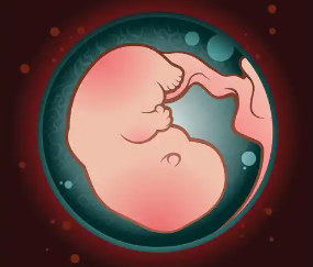 国内供卵做试管不用等,试管移植成功率有多大？和放置的医生有关系吗？