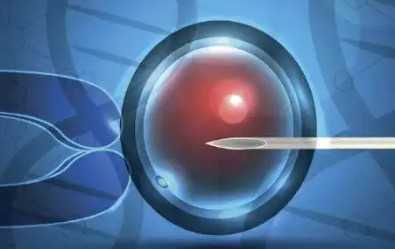 国内试管供卵医院哪家好,试管婴儿只配成了一个4bb囊胚有必要移植吗?