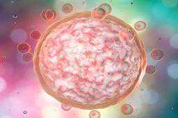 在中国有代孕,2026年马鞍山妇幼试管婴儿成功率怎么样