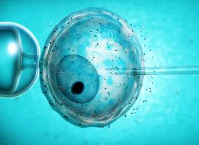 国内二代供卵试管,精子活力低做人工还是试管婴儿