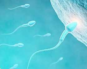 国内供卵辅助生殖中心哪家好,试管婴儿医院成功率有多高，为什么明星都喜欢做试管婴儿