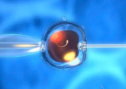 国内试管代生医院有哪些,最新三代*试管*男孩费用，2026南京鼓楼医院有卵子库吗