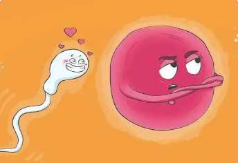 国内代生哪里安全,探析什么样的*不能做试管体积小可不可以视情况而定