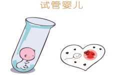 国内供卵机构公司有哪些,河南省人类精子库的地址在你哪