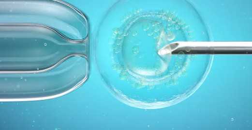 国内代生男孩子,冻胚移植当月人工周期需要多少时间