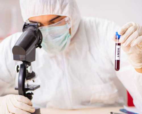 国内供卵试管成功率是多少,试管移植失败的初期表现有哪些呢？