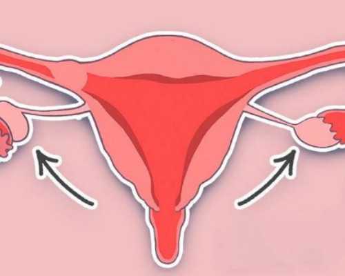 国内供卵医院推荐哪家,腹痛、腹胀、胖得过快时需做妇科检查