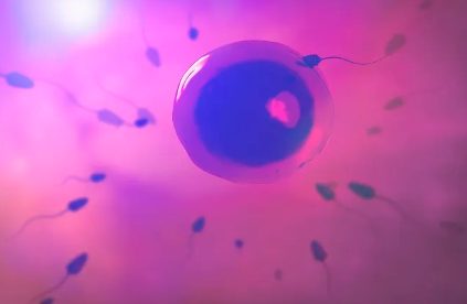 国内代孕成功率是多少,胚胎不着床的原因有哪些告诉你3个最主要的原因