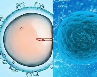 国内供卵生殖中心官网,母乳期间乳房有针刺痛感？该怎么办