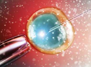 国内私立医院可以做供卵试管,男性备孕生儿子y精子的增加方法除禁欲14天还有哪些？看这篇就够了
