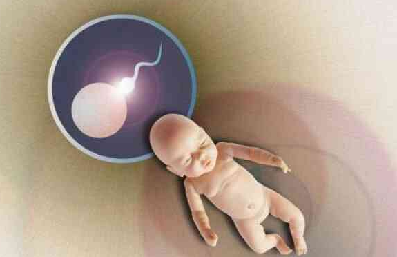 国内正规人工代孕助孕服务,输精管堵塞做第几代试管好,试管技术在治疗输精管堵塞方面的应用及其效果比较