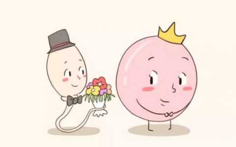 国内私人代怀公司服务,卵巢早衰不排卵可以做试管婴儿吗，卵巢早衰不排卵做试管的注意事项