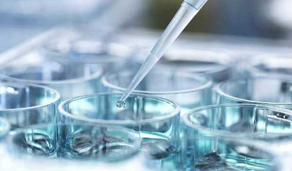 国内最好的代生,断奶过早可不好想知道宝宝几个月断奶最好看这里