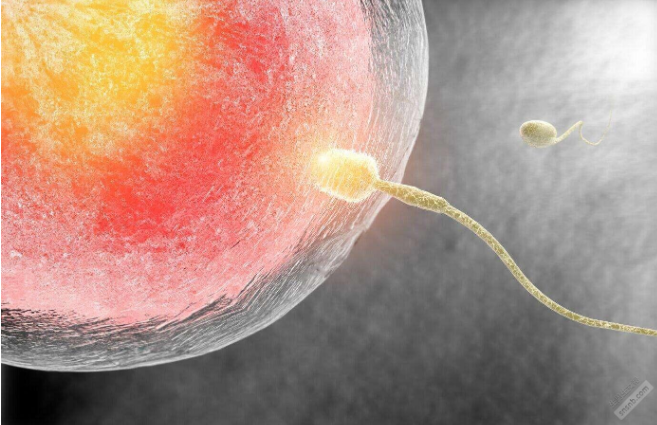 国内哪家供卵比较好一点,第三代试管包生男孩的价格是多少,费用因需而异！