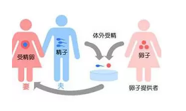 国内哪家医院有供卵库手术,深圳试管医院成功率比较高的医院排名内附费用一清二楚！10元能买到吗？
