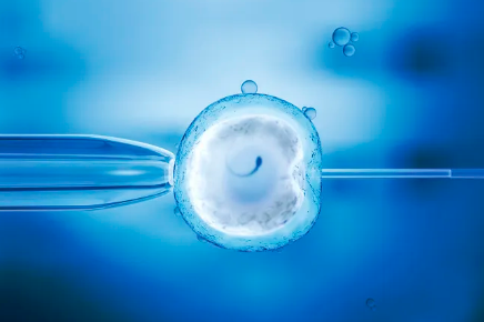 国内供卵官网地址,宝宝不吃奶并非厌食症 出现这4个症状家长要警惕