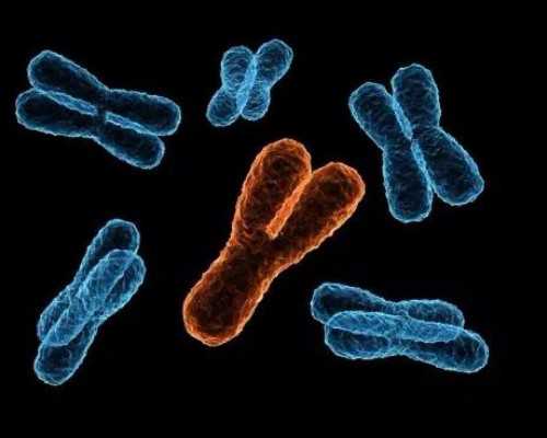 国内供卵试管民营医院有哪些,适合*子取名字的字(让邻居都羡慕的男宝宝名字)