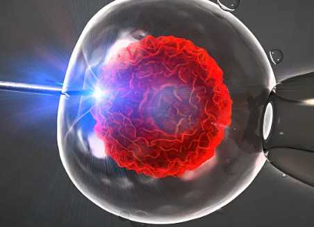 国内哪里有供卵的地方,广州试管助孕能助孕多少钱，一文告诉你费用高不高